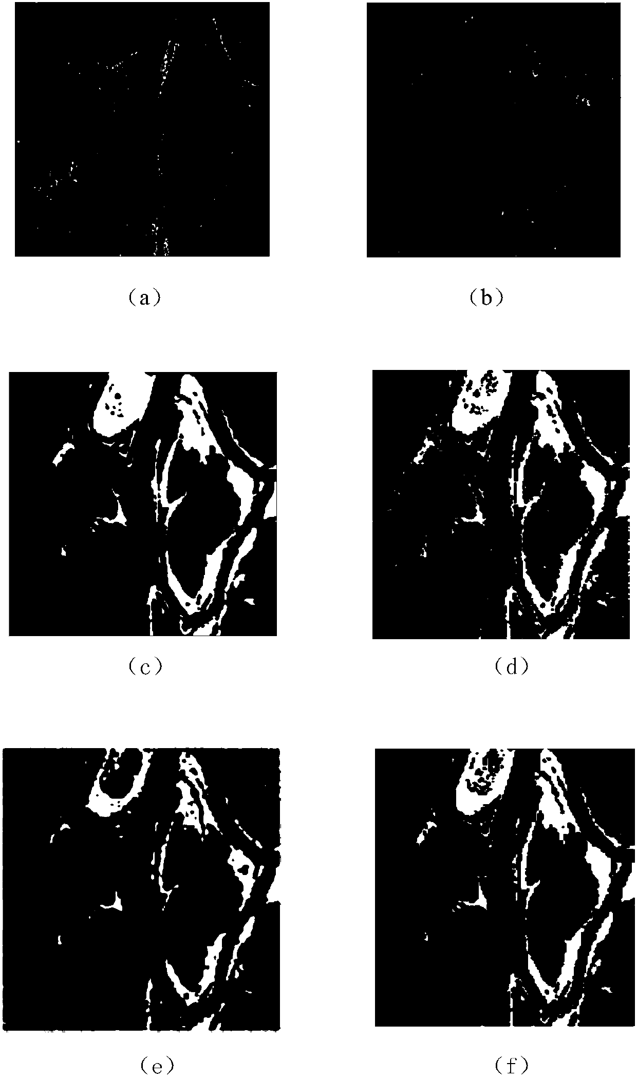 SAR image change region detection method based on neighborhood ratio and self-stepping learning