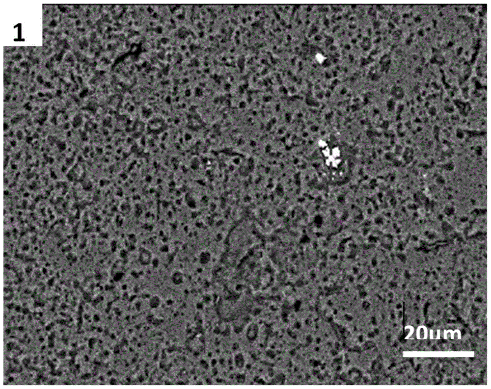 A kind of rare earth modified aluminum alloy anode sheet and preparation method thereof