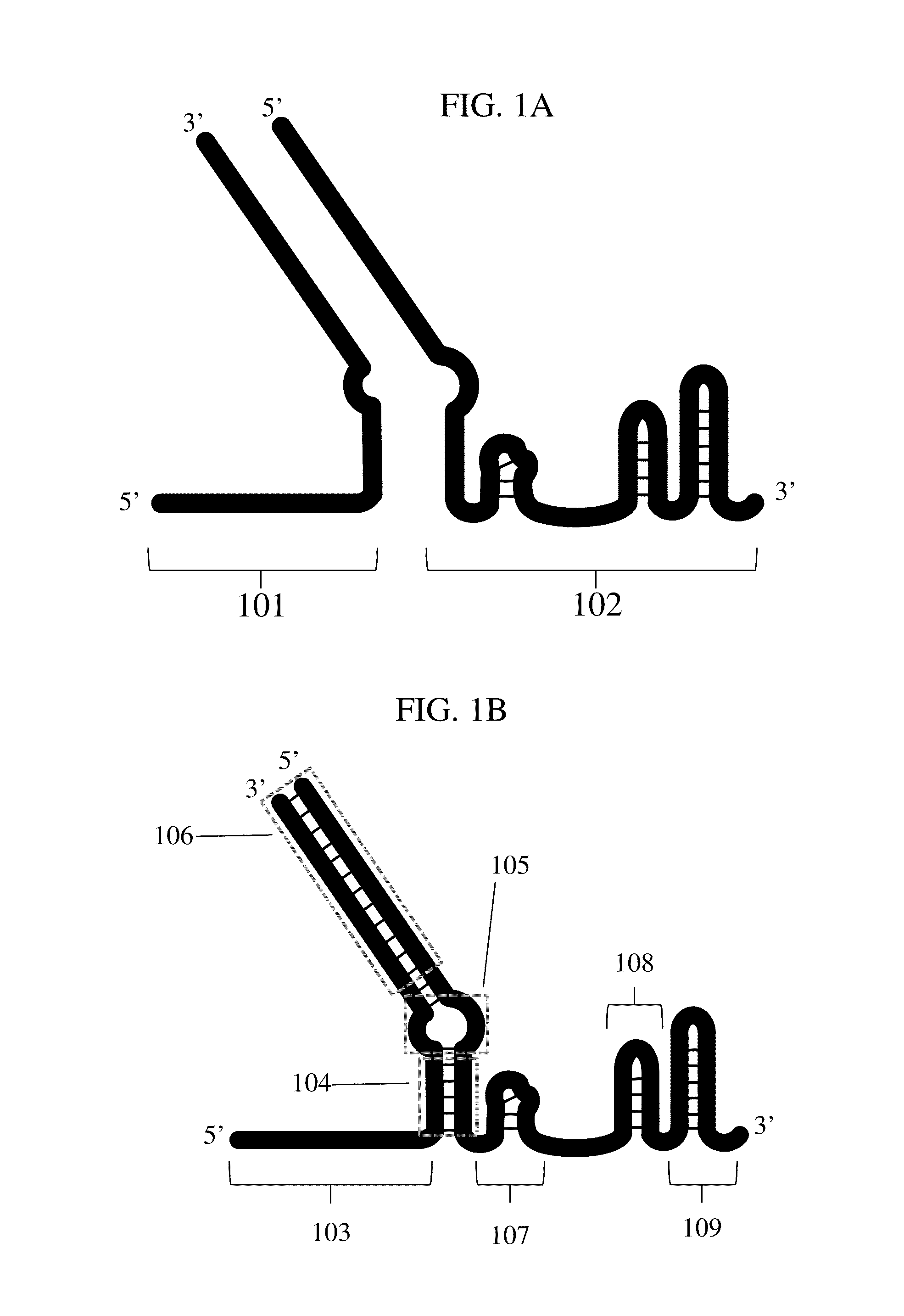 Crispr hybrid dna/rna polynucleotides and methods of use