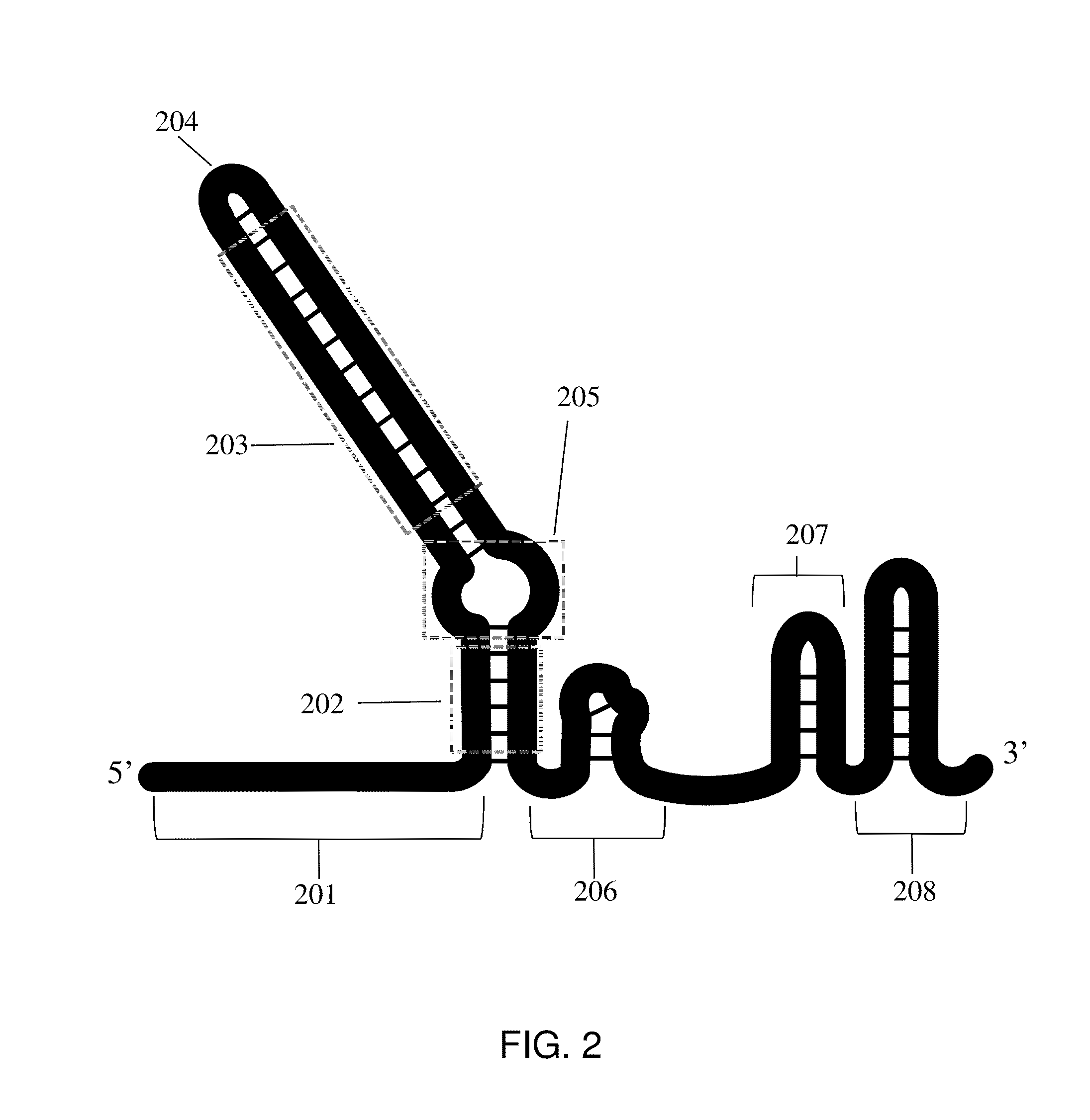 Crispr hybrid dna/rna polynucleotides and methods of use