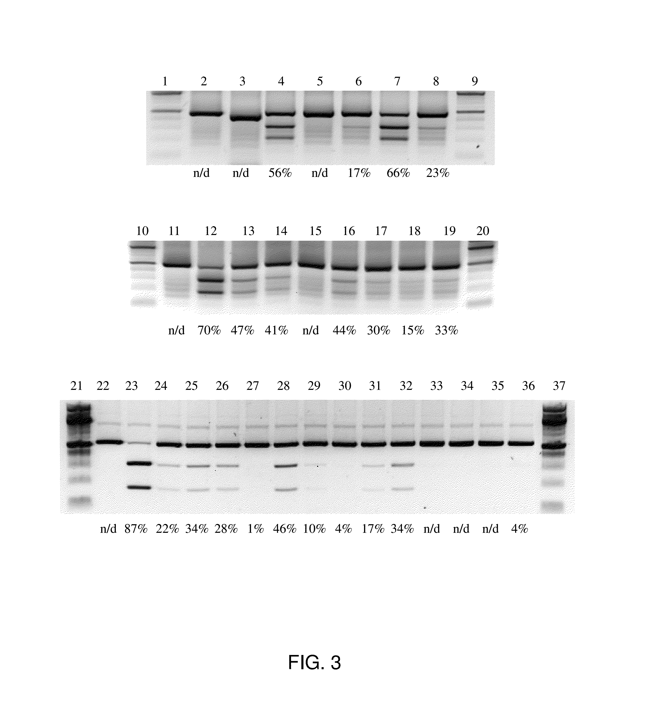 Crispr hybrid dna/rna polynucleotides and methods of use