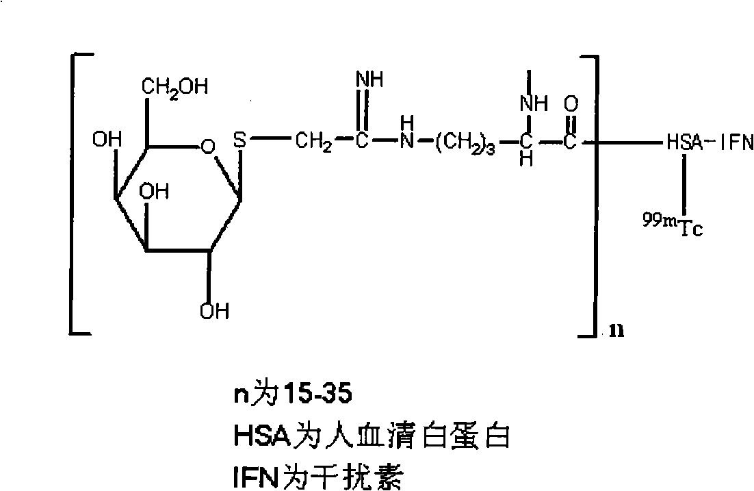 Preparation of &lt;99m&gt;Tc galactosyl human serum albumin fusion interferon of liver receptor developer and uses thereof