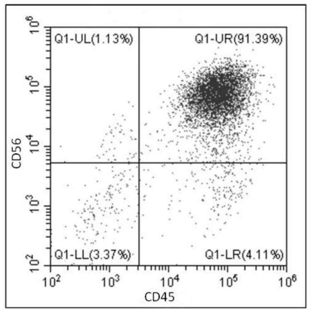 Culture solution and differentiation method for differentiating pluripotent stem cells into natural killer cells