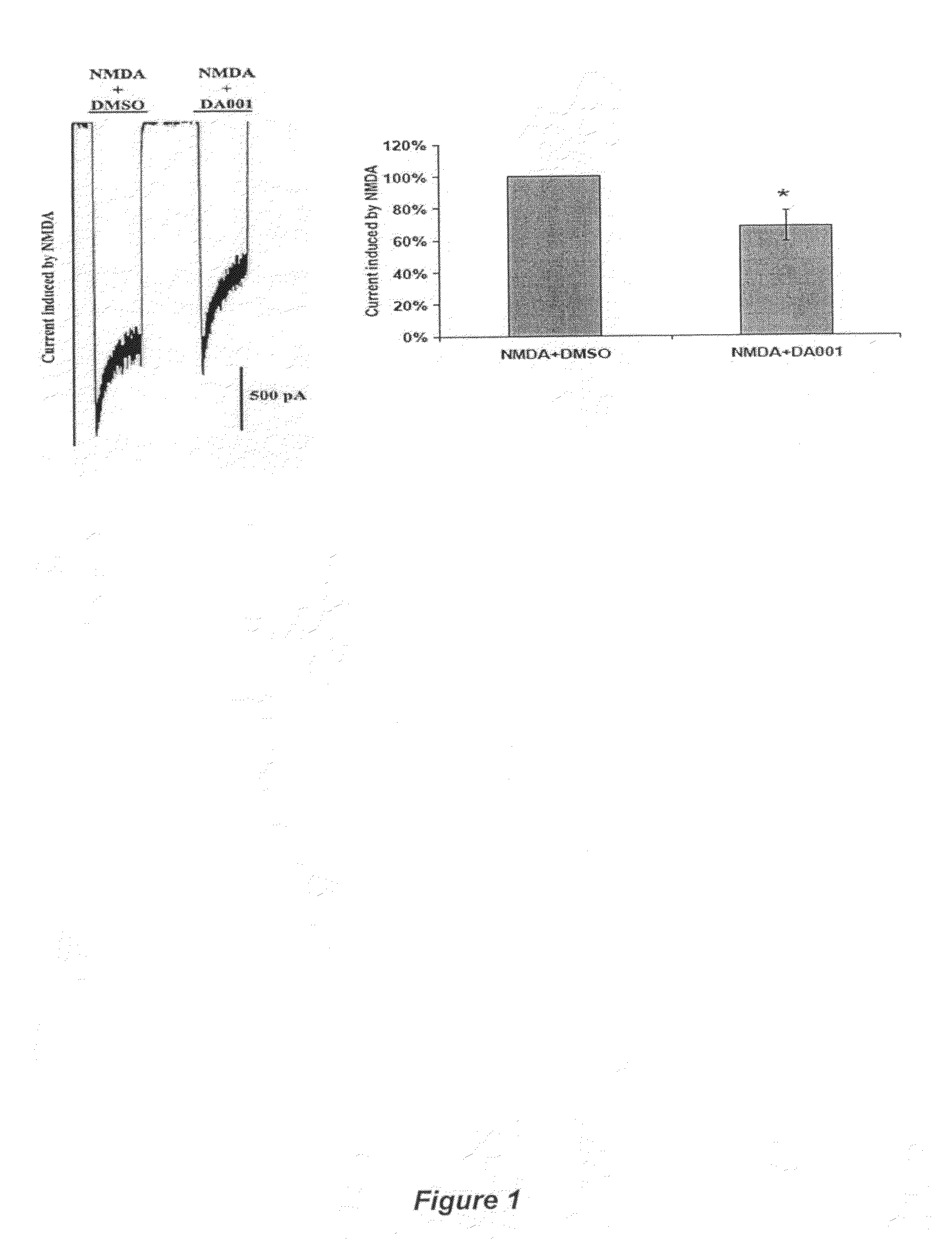 Receptor modulators exhibiting neuroprotective and memory enhancing activities