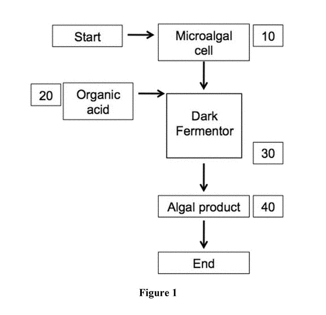 Heterotrophic production methods for microbial biomass and bioproducts