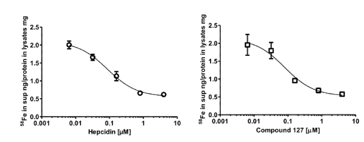 Novel Ferroportin Inhibitors