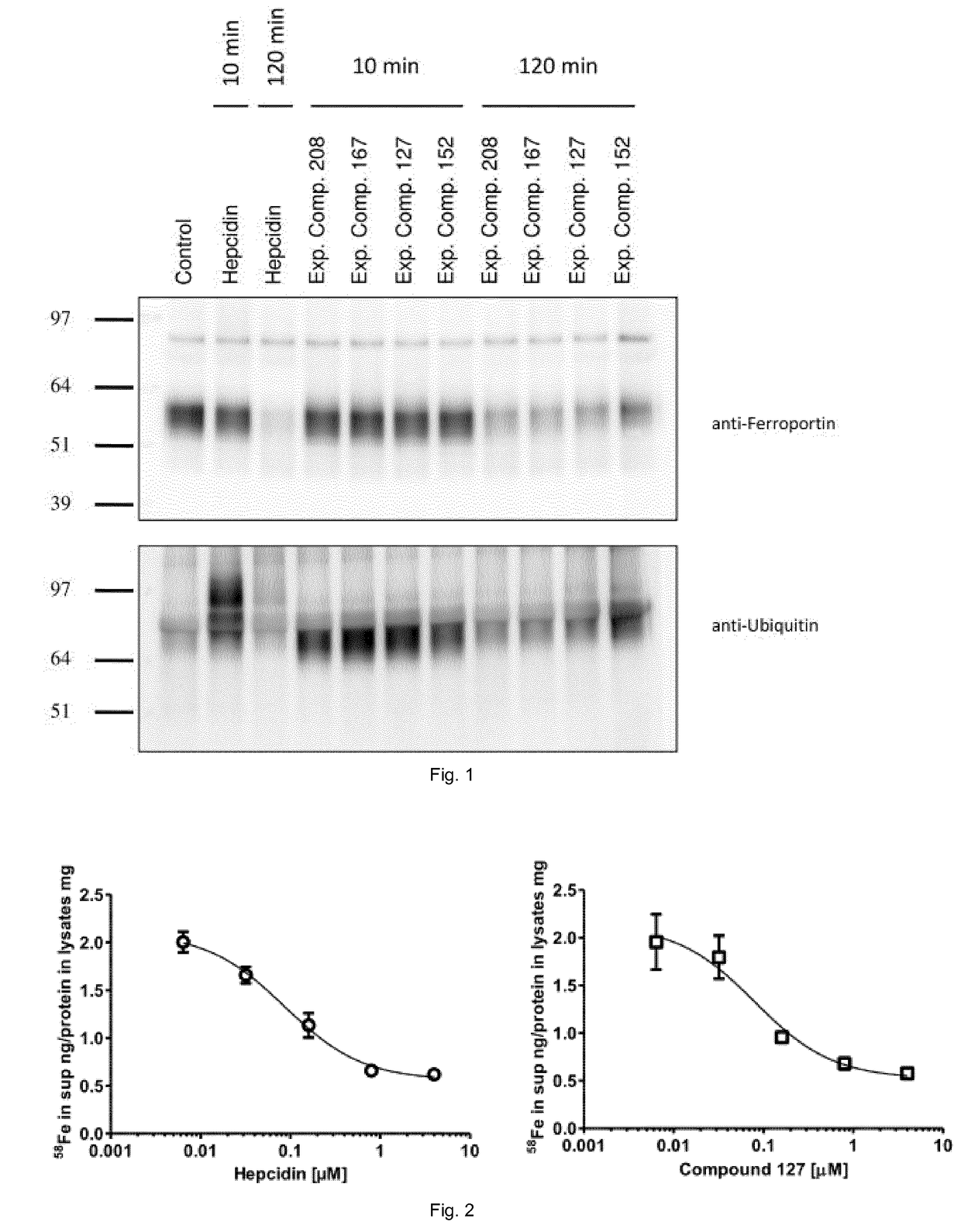 Novel Ferroportin Inhibitors