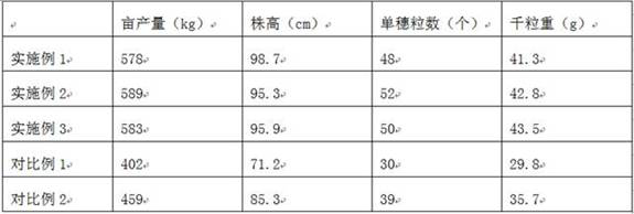 Granular water-soluble fertilizer and preparation method thereof