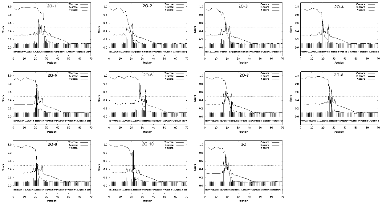 Selection method of signal peptide while foreign protein is expressed by Chinese hamster ovary cells and application thereof