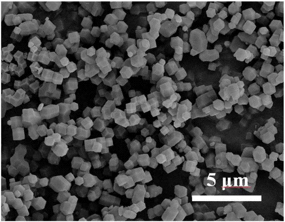 CoTe2 electro-catalysis oxygen evolution composite material and preparation method and application thereof