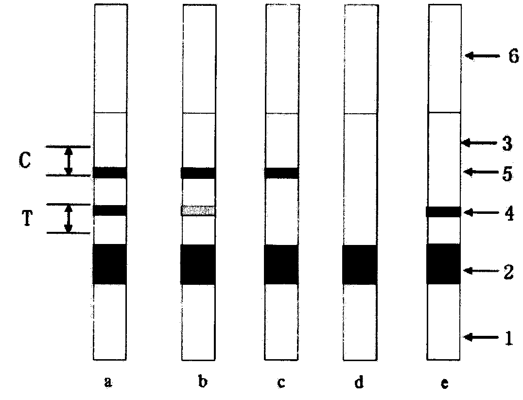 Anti-CBir1 antibody detection test paper preparation method and purpose thereof