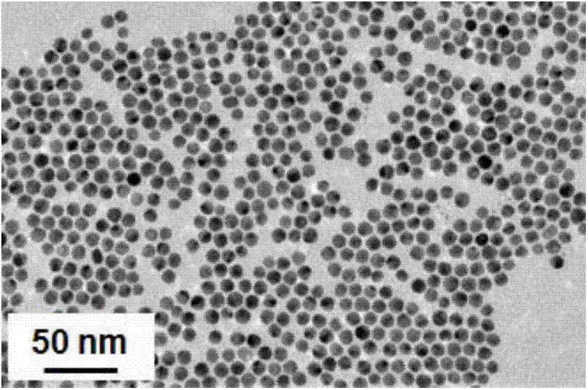 Preparation method of heat storage composite material based on nanoparticle electromagnetic wave absorption