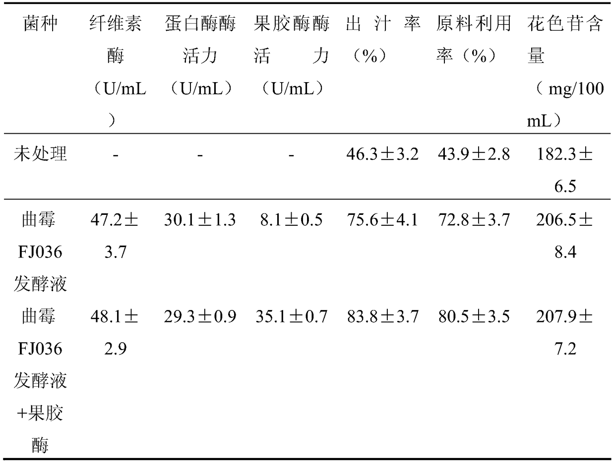 Mulberry soy sauce