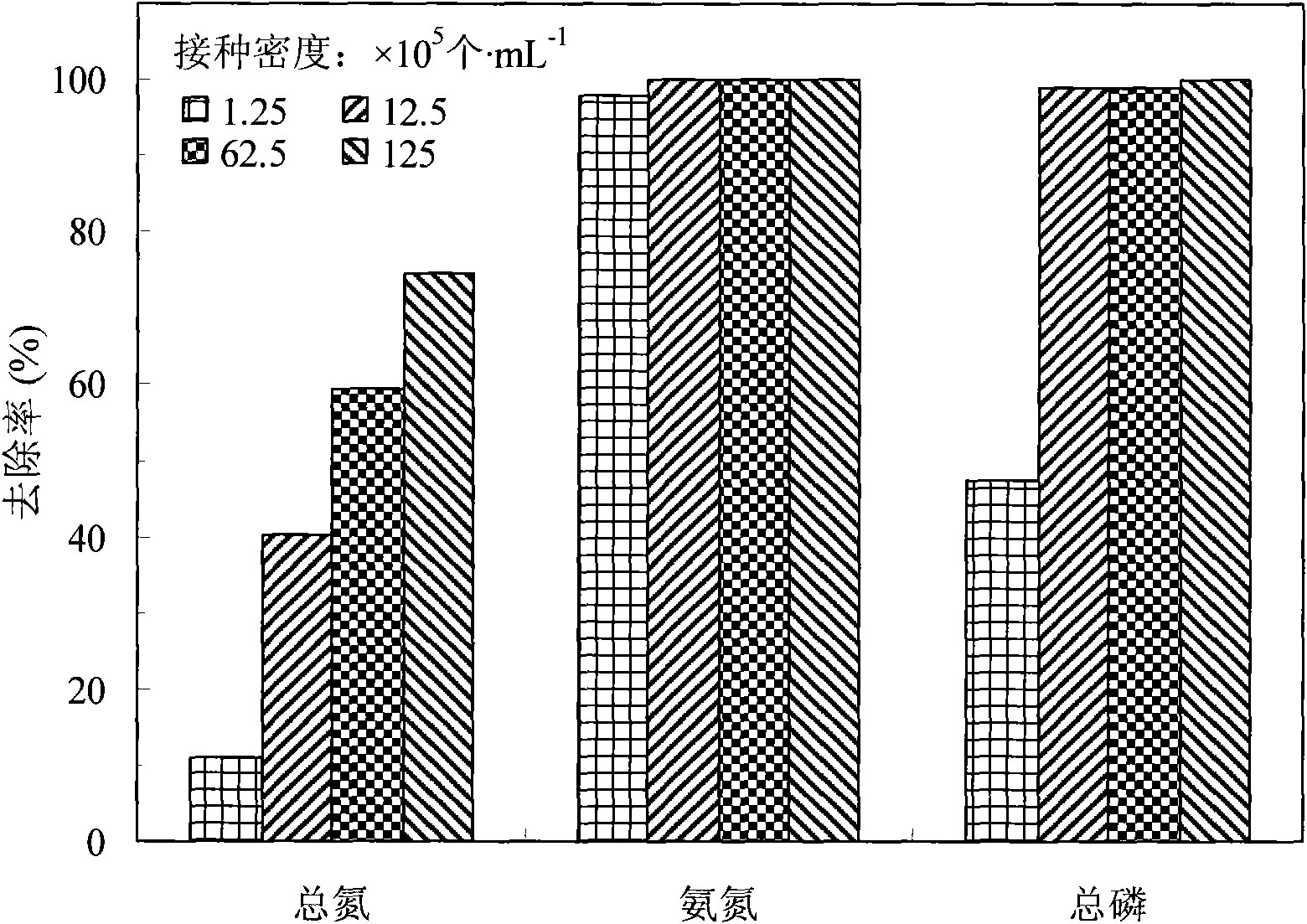 Low-nutrition scenedesmus and application thereof in sewage deep treatment