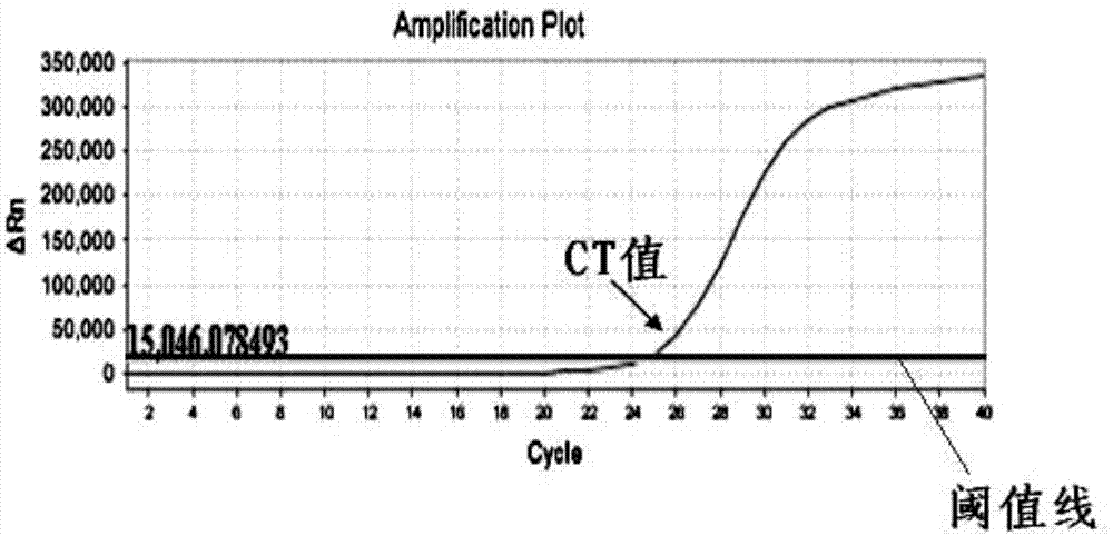 Detection kit and ARMS (amplification refractory mutation system)-QPCR (quantitative polymerase chain reaction) detection method for beta-mediterranean anemia beta17 (A-T) point mutation