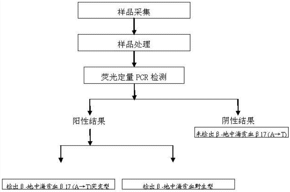 Detection kit and ARMS (amplification refractory mutation system)-QPCR (quantitative polymerase chain reaction) detection method for beta-mediterranean anemia beta17 (A-T) point mutation