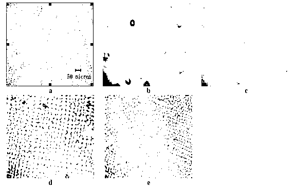 Lead-antimony rare-earth positive grid alloy and preparation method thereof