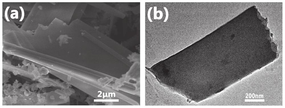 Bismuth-based metal organic framework material as well as preparation method and application thereof