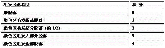 Traditional Chinese medicine composition for stopping alopecia and regenerating hair and preparation method thereof