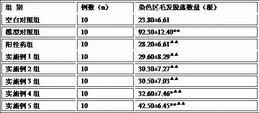 Traditional Chinese medicine composition for stopping alopecia and regenerating hair and preparation method thereof