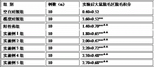 Traditional Chinese medicine composition for stopping alopecia and regenerating hair and preparation method thereof