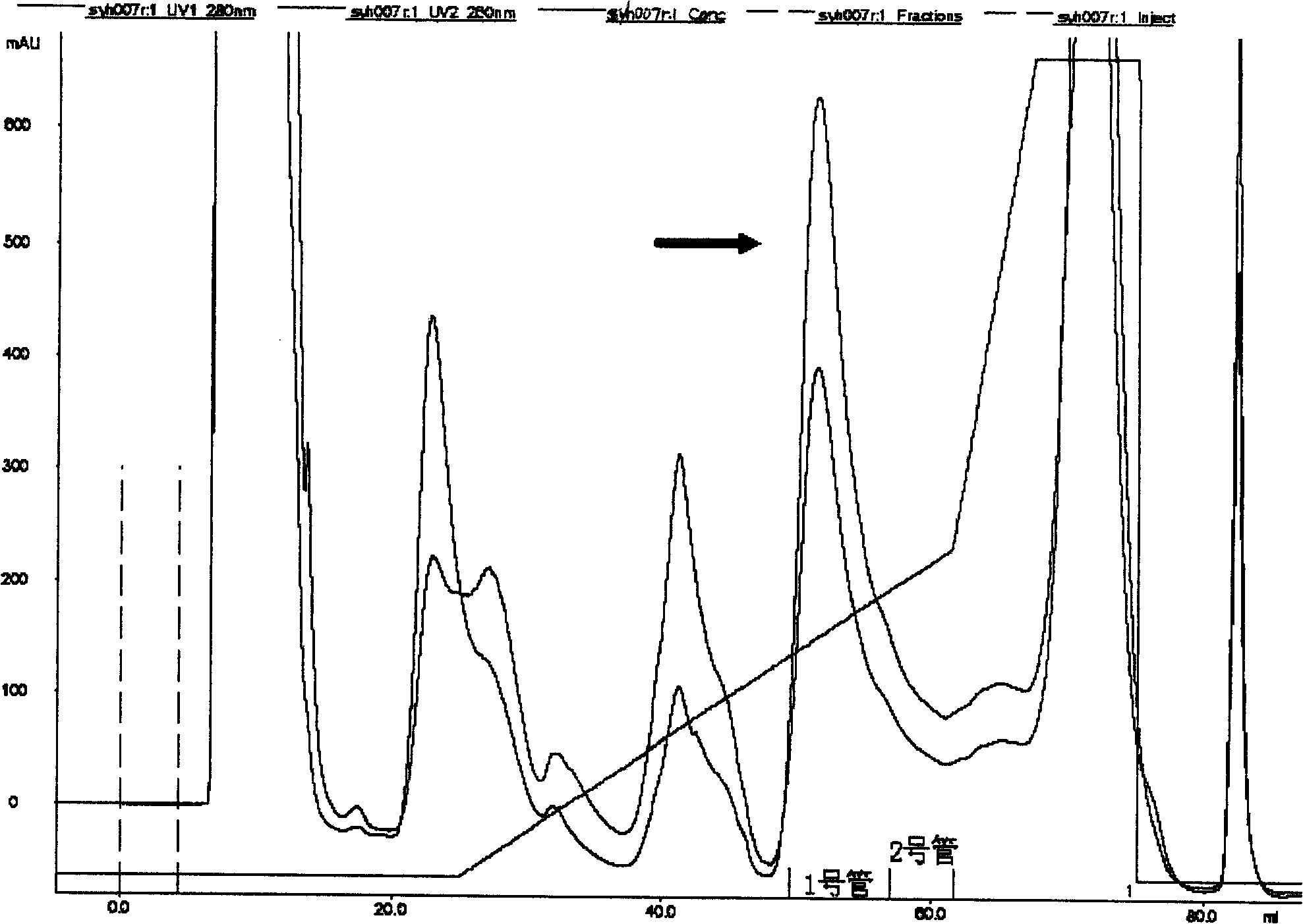 Type T non--viral vector and composite medicament containing the same