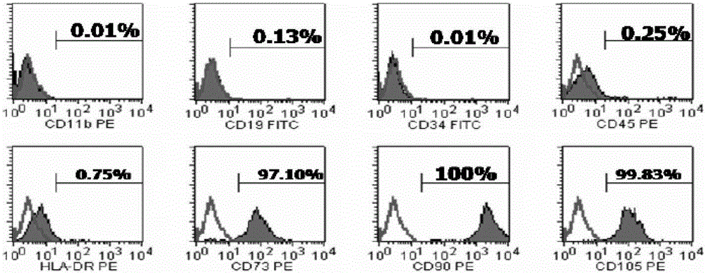 Preparing method for clinic level cells for enhancing immune modulating function of MSCs