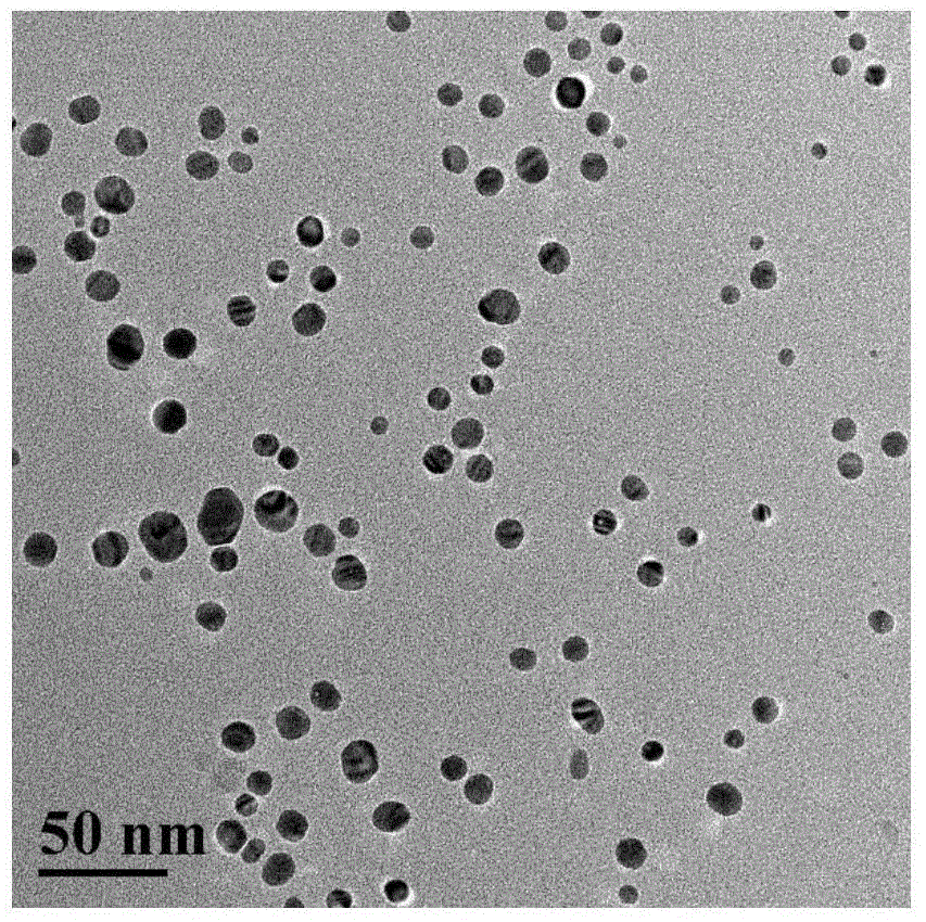 Amphiphilic nano-silver preparation method based on polyurethane stabilizer