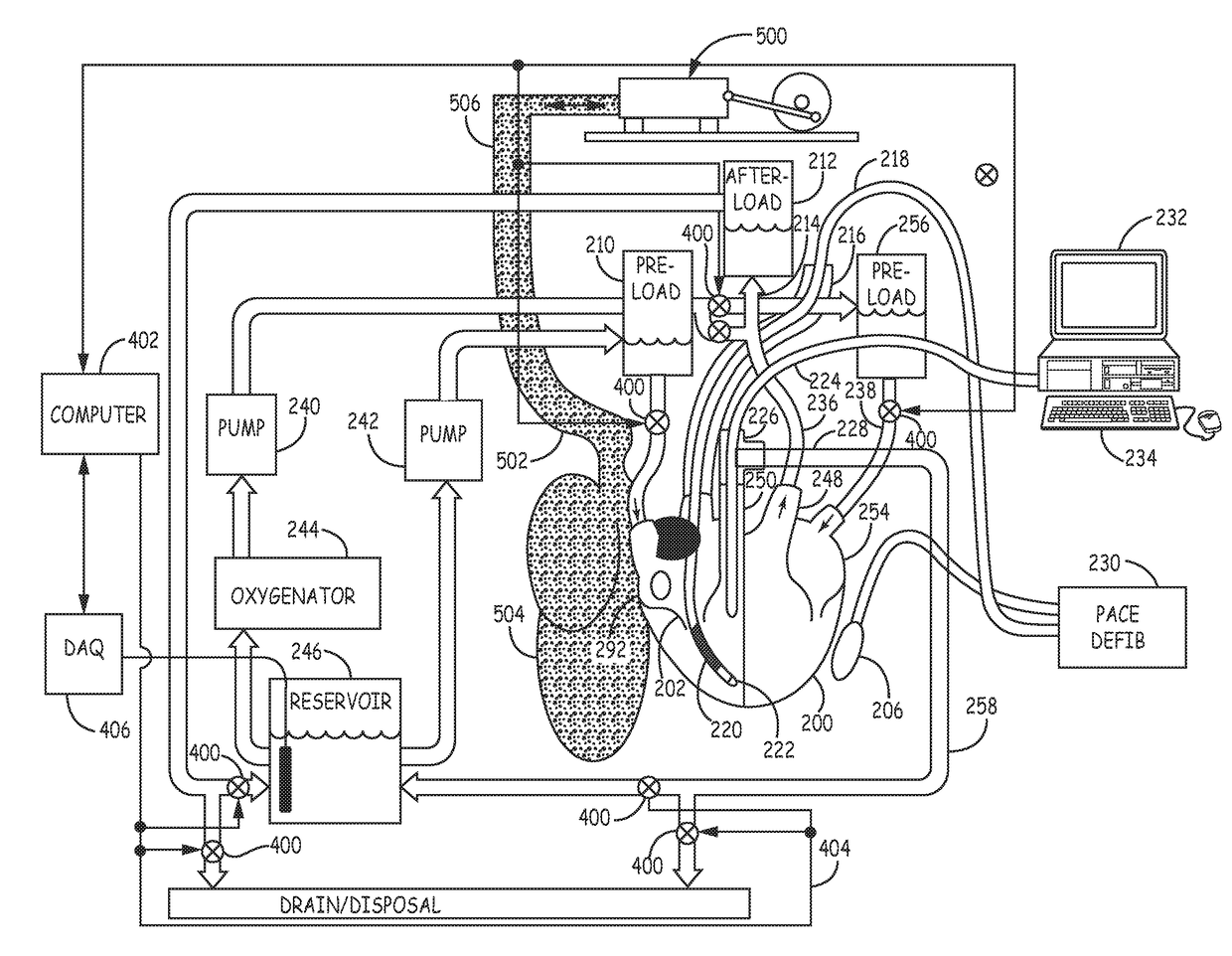 Heart-lung preparation and method of use