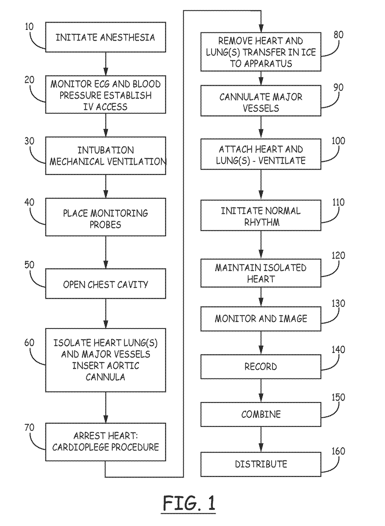 Heart-lung preparation and method of use