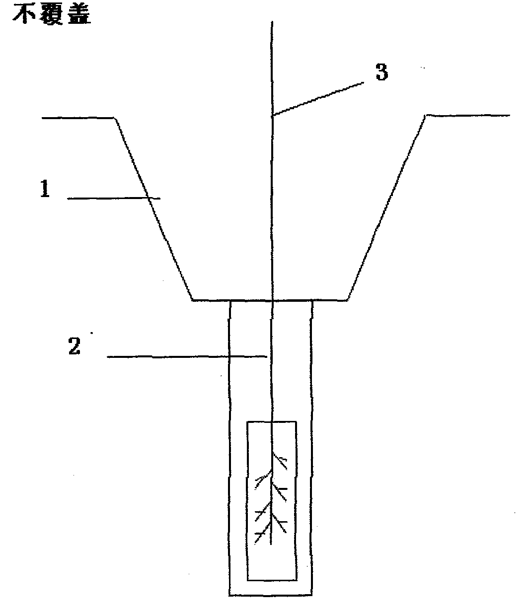 Short-rotation sprout forest drought-resistant anti-freezing cultivation and management method