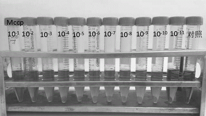 Mycoplasma capricolum subsp. Capripneumoniae low-serum high efficiency medium and preparation method thereof