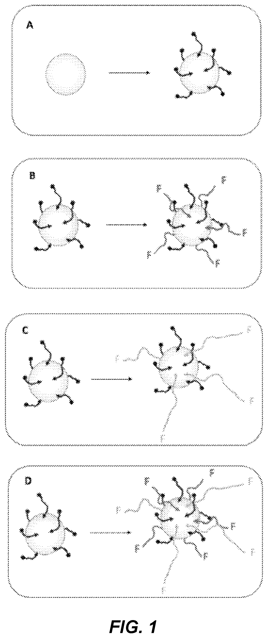 Nanoparticles pre-functionalised using a self-assembled monolayer and method for preparing same