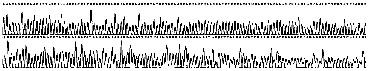 Method for detecting CYP21A2 gene mutation, primer and kit