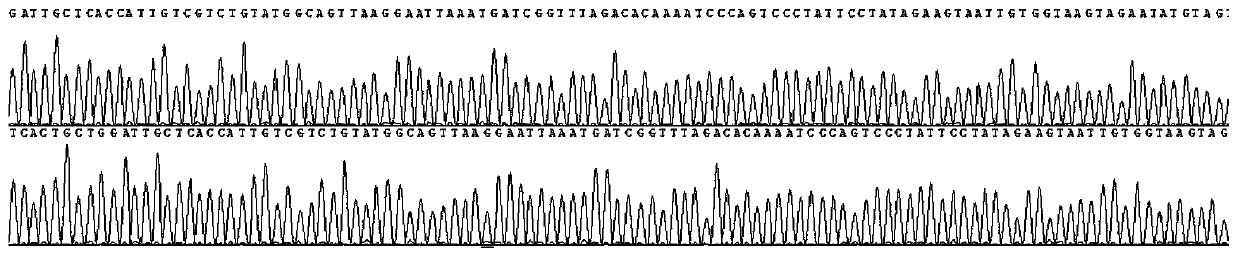 Method for detecting CYP21A2 gene mutation, primer and kit