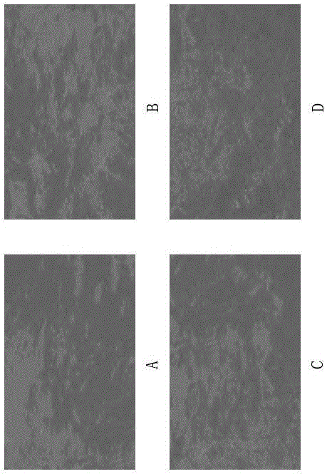 Concrete surface modifier, and preparation method and use method thereof