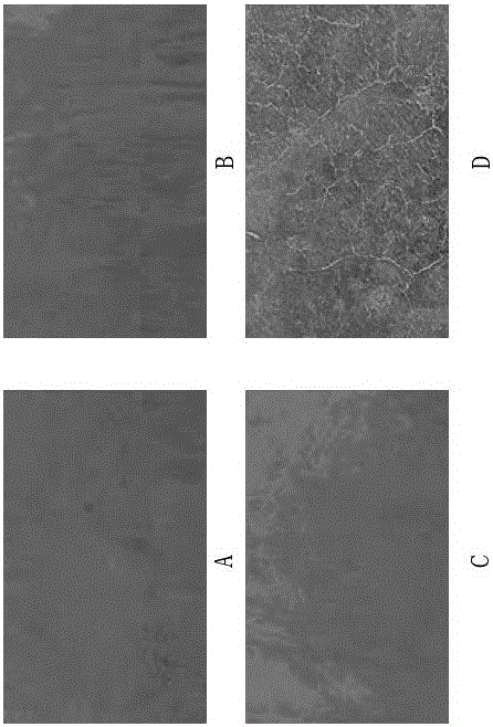 Concrete surface modifier, and preparation method and use method thereof