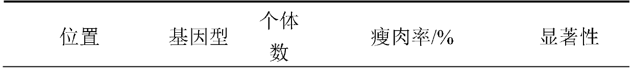 SNP molecular marker related to lean meat rate, eye muscle area and eye muscle thickness on swine chromosome 6 and application thereof