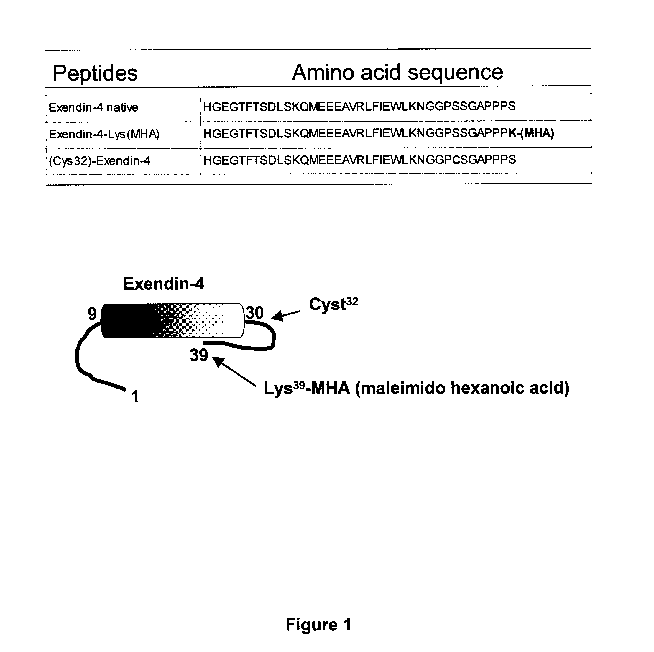 Conjugates of GLP-1 agonists and uses thereof