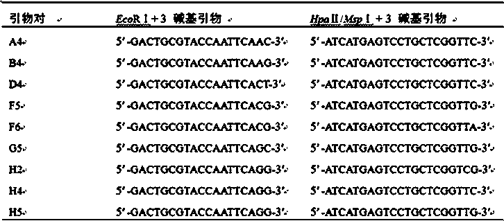 Method for screening MSAP sites relevant to regeneration in vitro of lycium ruthenicum