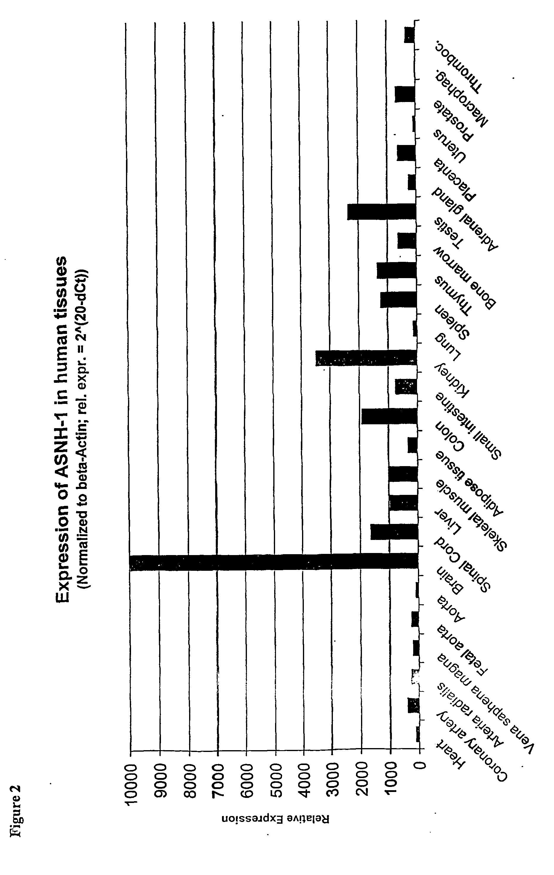 Regulation of novel human asparagine-hydroxylases