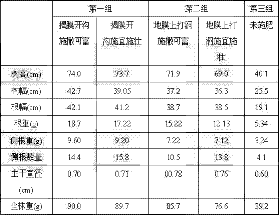 Cultivation method for bringing tea trees into production in advance