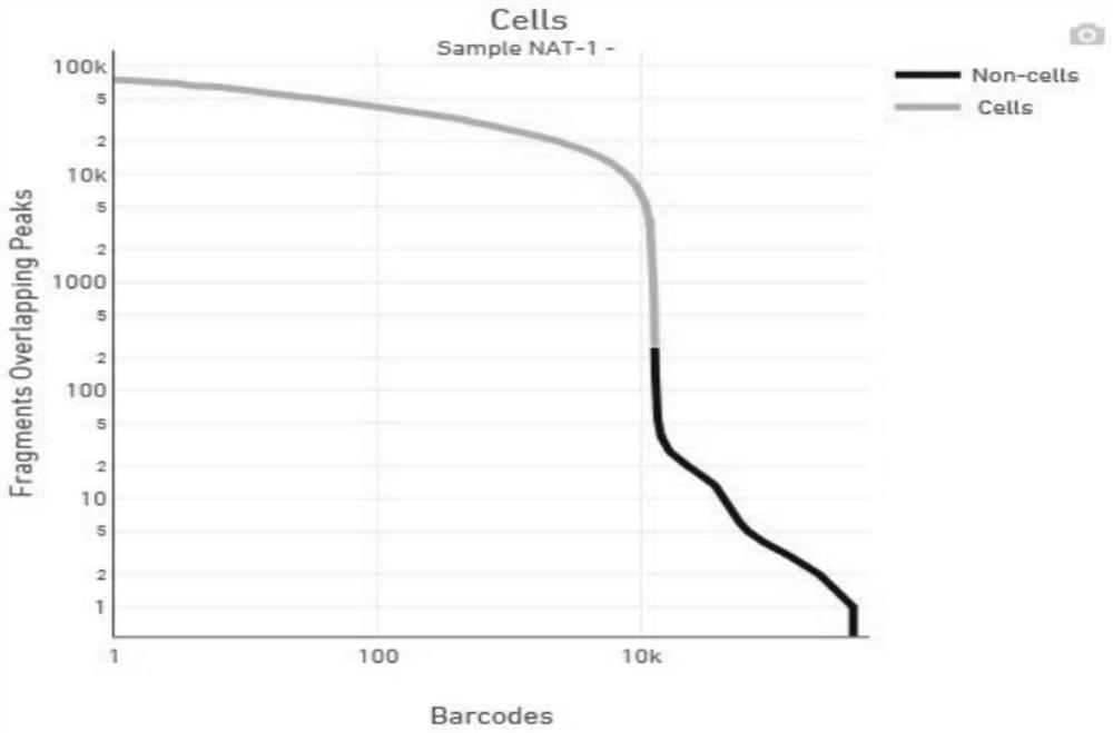 Lysate for extracting plant cell nucleus