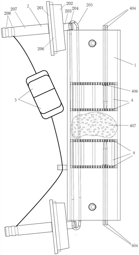 In-situ chemical fixing device for deep-sea biological sample