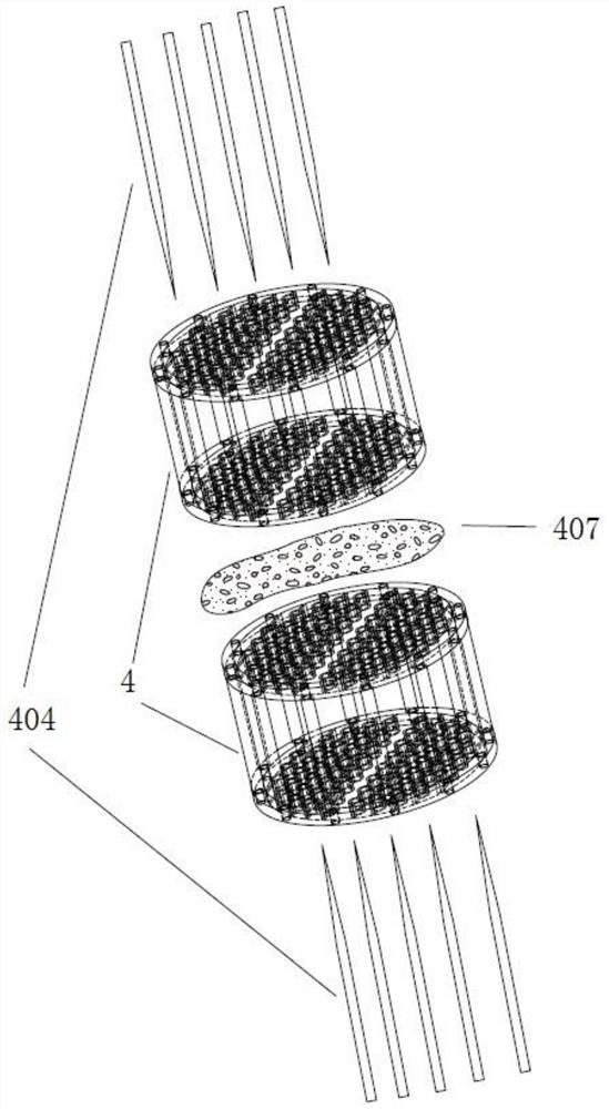 In-situ chemical fixing device for deep-sea biological sample