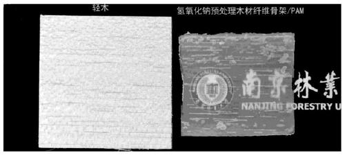 Wood-based high strength elastic composite gel and preparation method thereof