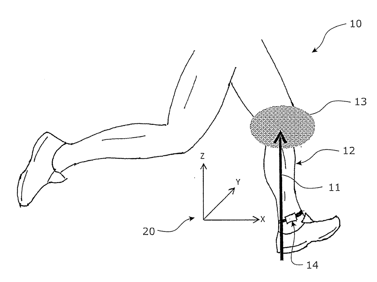 Lower limb loading assessment systems and methods