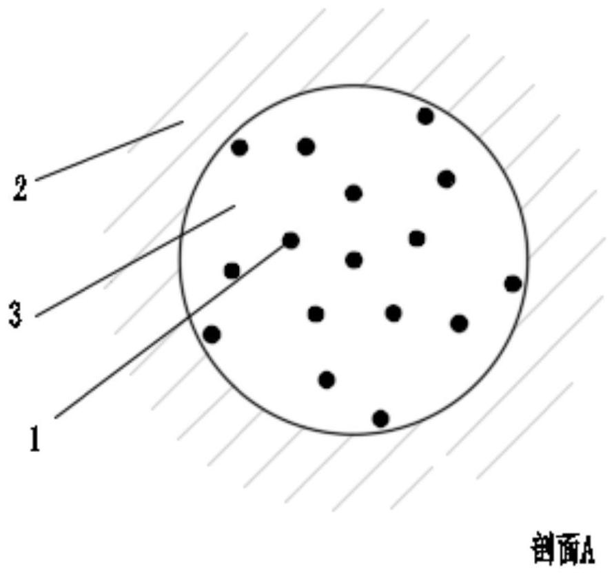 Multi-electrode focusing tbm advanced detection system and method based on bolt drilling