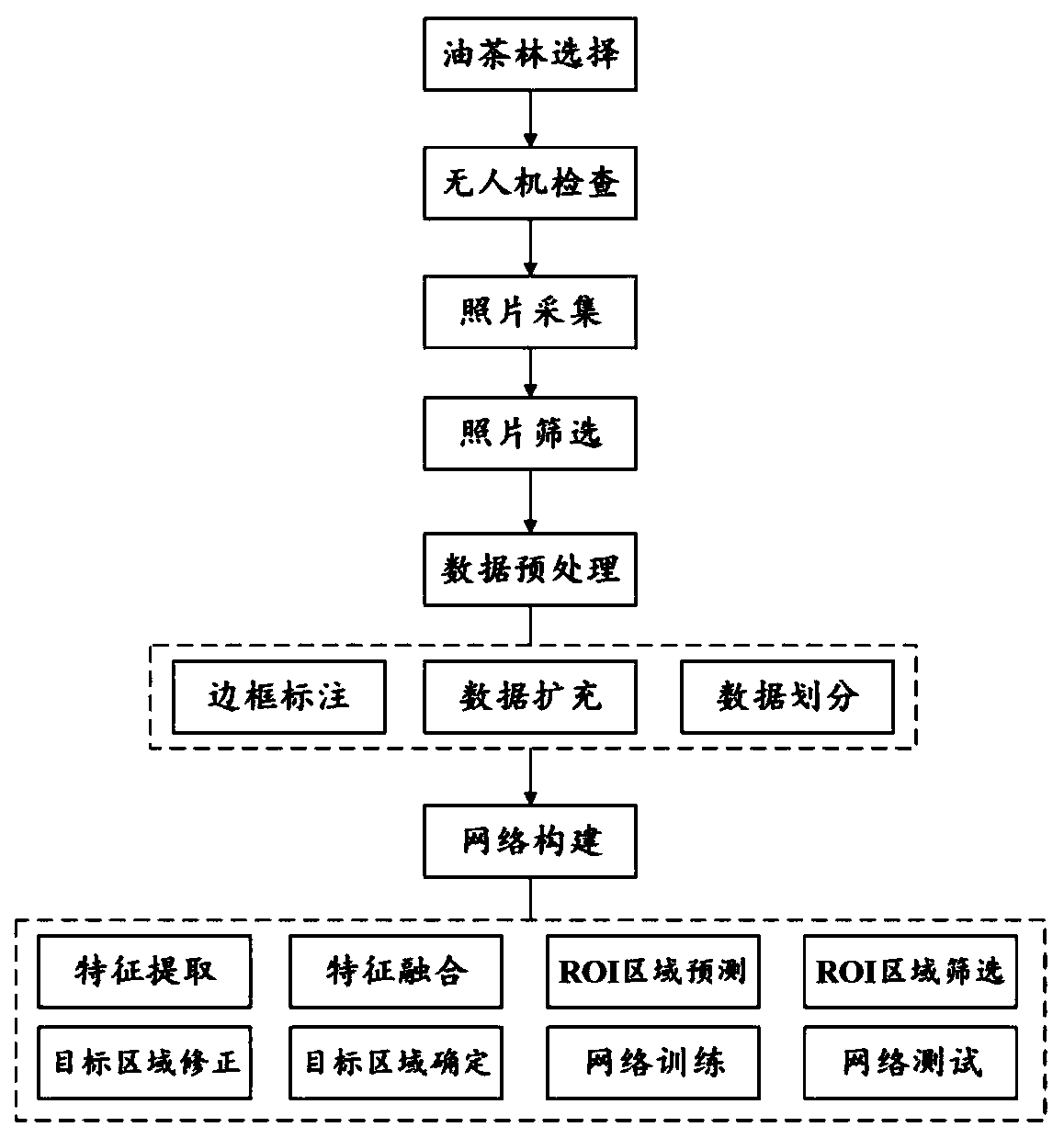 Large-range camellia oleifera forest and fruit intelligent detection and counting method based on UAV and deep learning