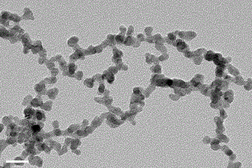 A method for the controllable synthesis of noble metal nanocatalysts using amino acids as soft templates